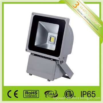 100W LED Floodlight CE RoHS ETL SAA IP65 Bridgelux chip COB